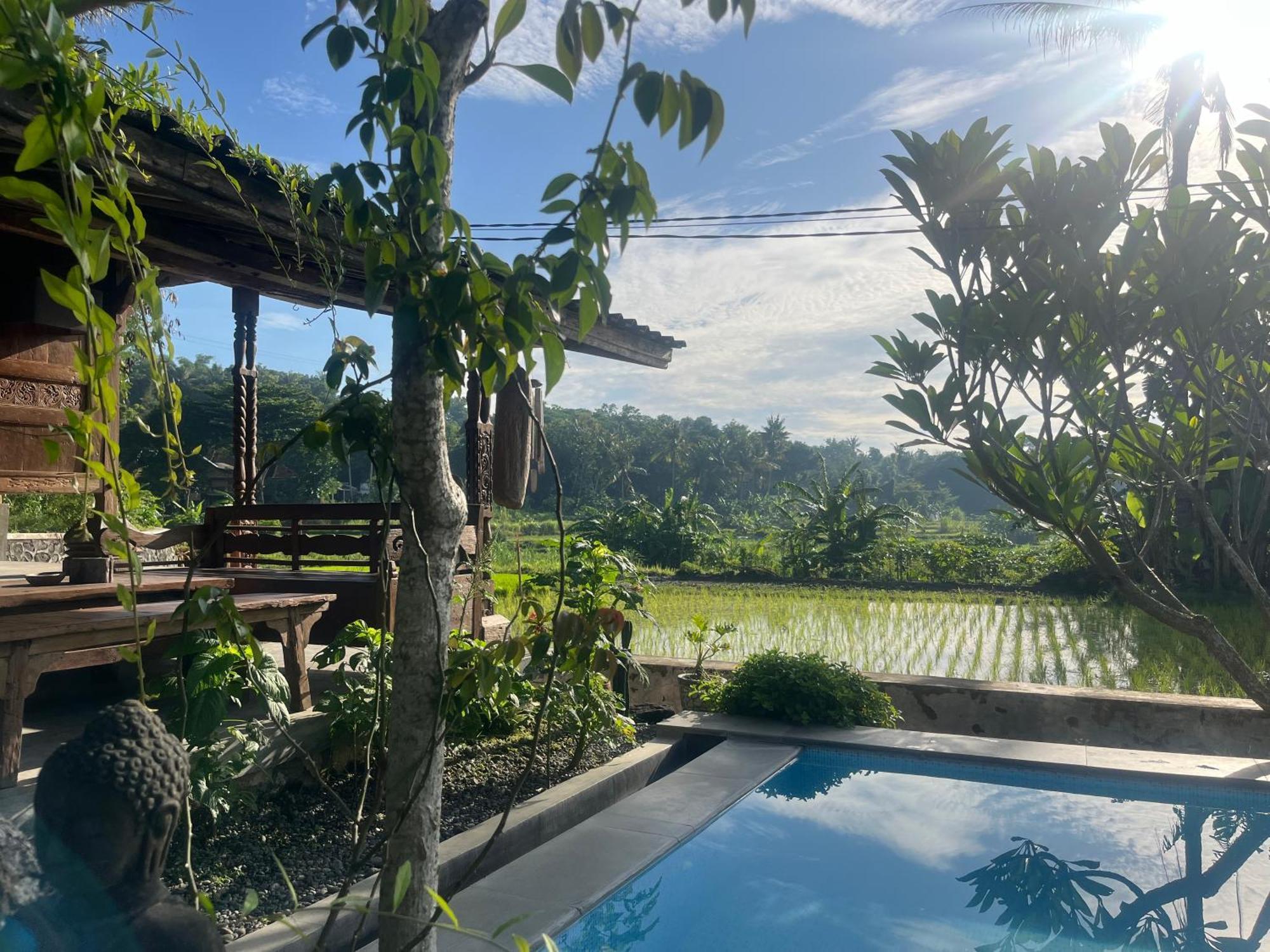 Villa Nextdoor Nature Yogyakarta Бантул Экстерьер фото